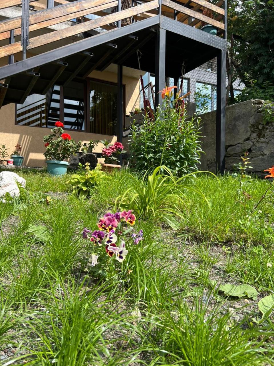 Guesthouse Relax In Kazbegi מראה חיצוני תמונה